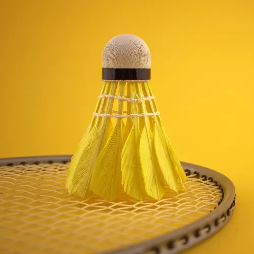 Indoor Badminton Court
